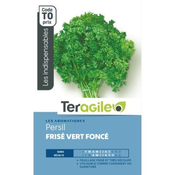 Persil frisé vert foncé - Graines - Teragile