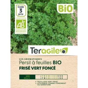 Persil frisé vert foncé Bio - Graines -Teragile