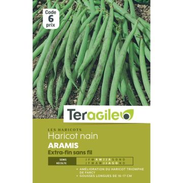 Haricot nain extra-fin sans fil aramis - Graines - Teragile