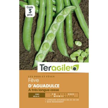 Fève aguadulce longue cosse - Graines -Teragile