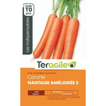 Carotte nantaise améliorée 3 - Graines - Teragile