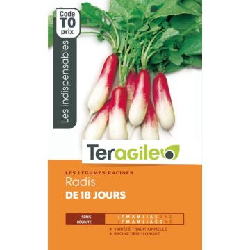 Radis de 18 jours - Graines - Teragile