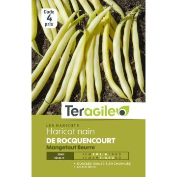Haricot nain mangetout beurre de rocquencourt - Graines - Teragile