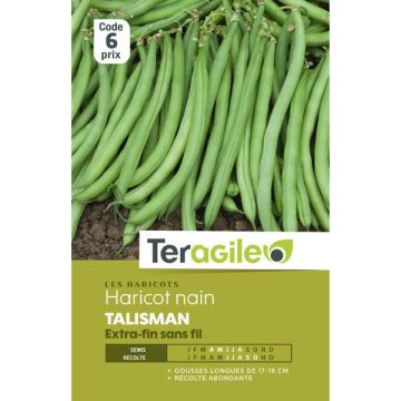 Haricot nain extra-fin sans fil Talisman - Graines - Teragile