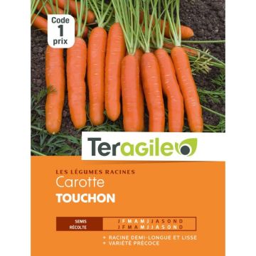 Carotte touchon - Graines - Teragile