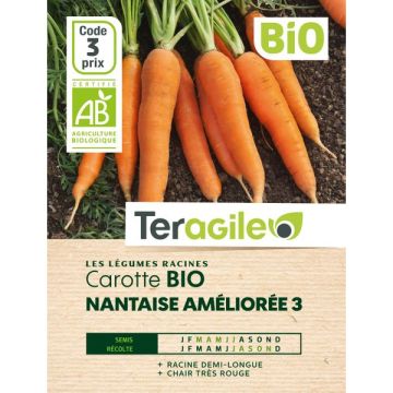 Carotte nantaise améliorée 3 - Bio - Graines - Teragile