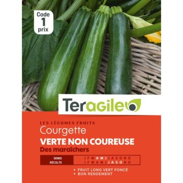 Courgette verte non coureuse des maraîchers - Graines - Teragile