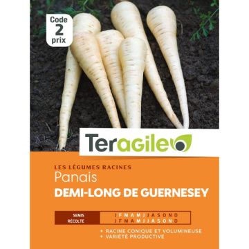 Panais demi-long de guernesey - Graines- Teragile