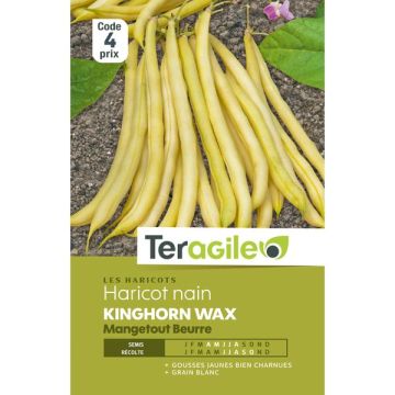 Haricot nain mangetout beurre roi des beurres - Graines - Teragile