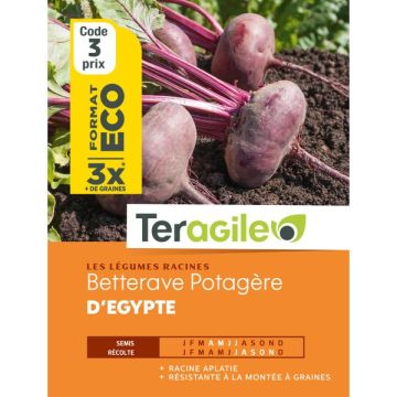 Betterave d'égypte - Graines - Teragile- Sachet éco