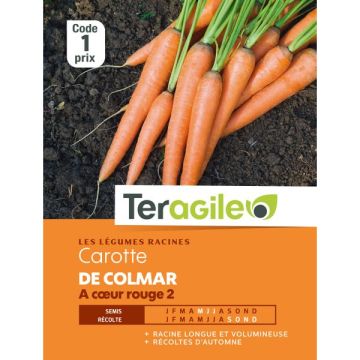 Carotte colmar c?ur rouge 2 - Graines -Teragile