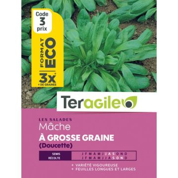 Mache à grosse graine - Graines - Teragile - Sachet éco