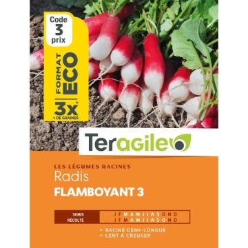 Radis flamboyant 3 - Graines - Teragile- Sachet éco
