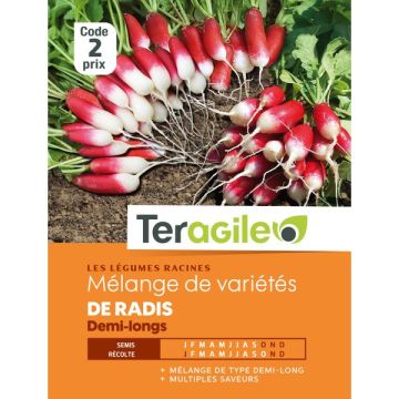 Radis demi-longs varié - Graines - Teragile