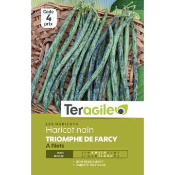 Haricot nain a filets triomphe de farcy- Graines - Teragile