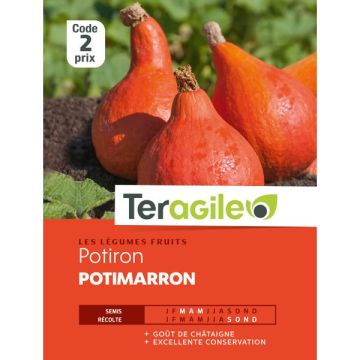 Potiron potimarron - Graines - Teragile