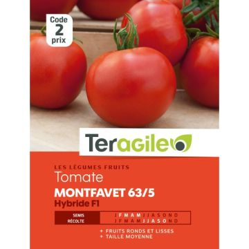 Tomate montfavet hybride F1 - Graines -Teragile