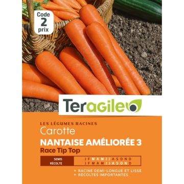 Carotte nantaise améliorée 3 tip top - Graines - Teragile