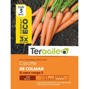 Carotte colmar c?ur rouge 2 - Graines -Teragile - Sachet éco