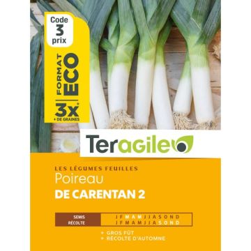 Poireau de carentan 2 - Graines - Teragile - Sachet éco