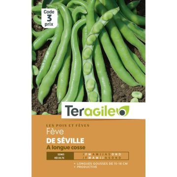 Fève seville longue cosse - Graines - Teragile