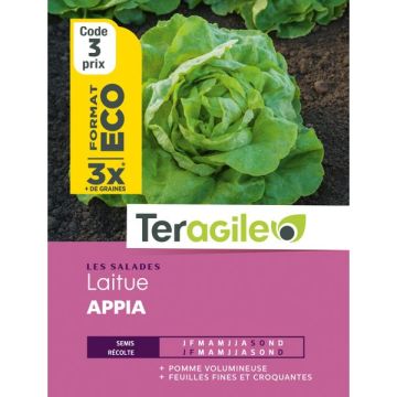 Laitue appia - Graines - Teragile - Sachet éco
