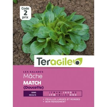 Mache match - Graines - Teragile