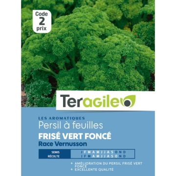 Persil frisé vert foncé vernusson - Graines - Teragile