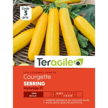 Courgette sebring hybride F1 - Graines - Teragile
