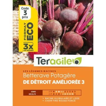 Bettrave detroit ameliorée 3  - Graines- Teragile - Sachet éco