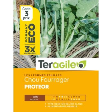 Chou fourrager proteor - Graines - Teragile - Sachet éco