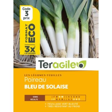 Poireau bleu de solaise - Graines - Teragile - Sachet éco