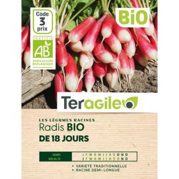 Radis de 18 jours - Bio - Graines - Teragile
