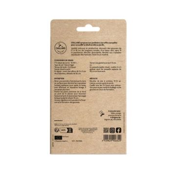Haricot nain extra-fin sans fil Talisman - Graines - Caillard