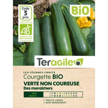Courgette verte non coureuse des maraîchers - Bio - Graines - Teragile