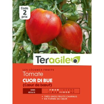 Tomate c?ur de b?uf - Graines - Teragile