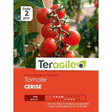 Tomate cerise - Graines - Teragile
