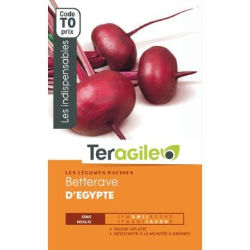 Bettrave d'égypte - Graines - Teragile