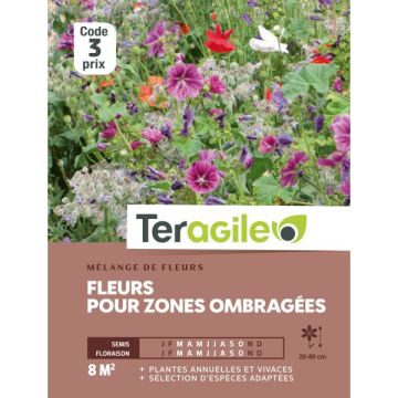 Fleurs pour zones ombragés - Graines - Teragile