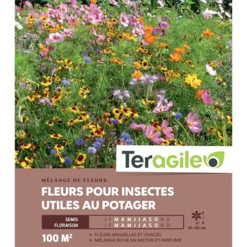 Fleurs pour insectes utiles au potager - Graines pour 100 m² - Teragile