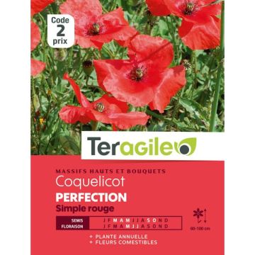 Coquelicot Perfection simple rouge - Graines - Teragile
