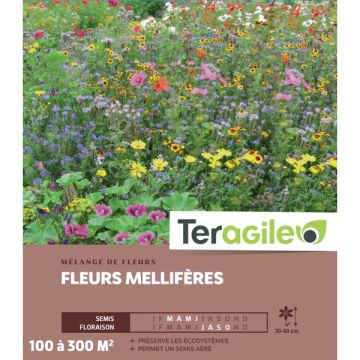 Mélange de fleurs méllifères - Graines pour 100 m² - Teragile