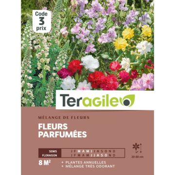 Mélange de fleurs d'été parfumées - Graines - Teragile