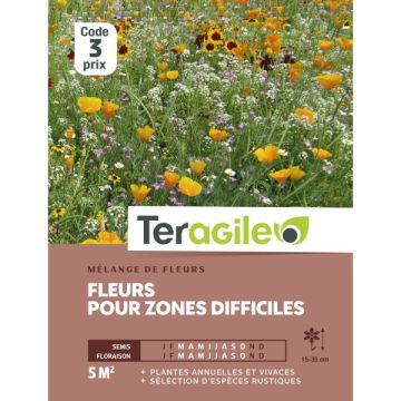 Mélange de fleurs pour zones difficiles- Graines - Teragile