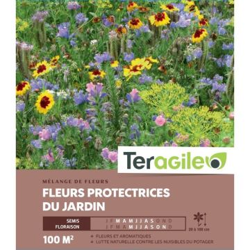 Mélange de fleurs protectrices du jardin - Graines pour 100 m² - Teragile