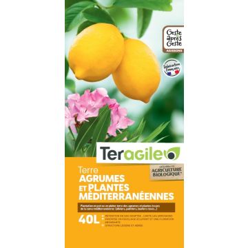 Terreau agrumes et plantes Méditerranéennes Teragile BIOLANDES PIN DECOR - 40 L 