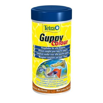 Aliment complet pour guppies Tetra Guppy - Zolux - 250 ml