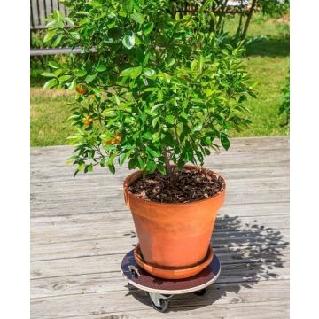Support à roulette Roul'bac Flora roll strong - Nortene - 40 cm
