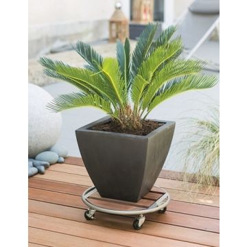 Support à roulette Roul'bac Flora roll métal wood - Nortene - 35 cm