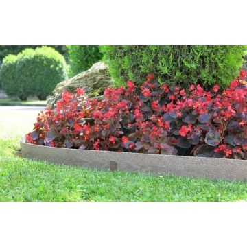 Bordure Woodtec - Nortene - 5 m  